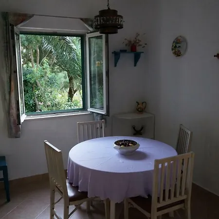 Apartman Stiniva *