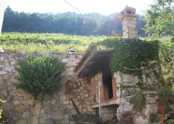 Stiniva