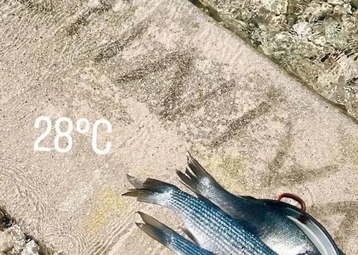 Stiniva شقة هفار